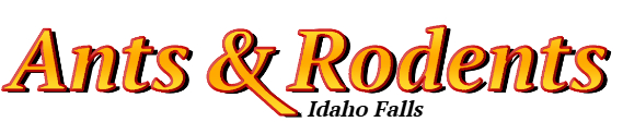 Idaho Falls Ant Exterminator & Rodent Control Company Logo